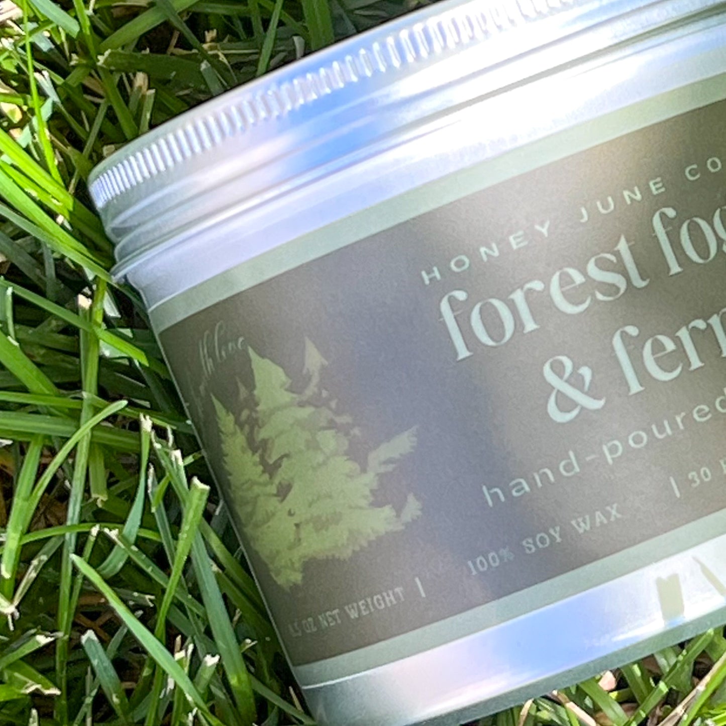 Forest Fog & Fern Candle