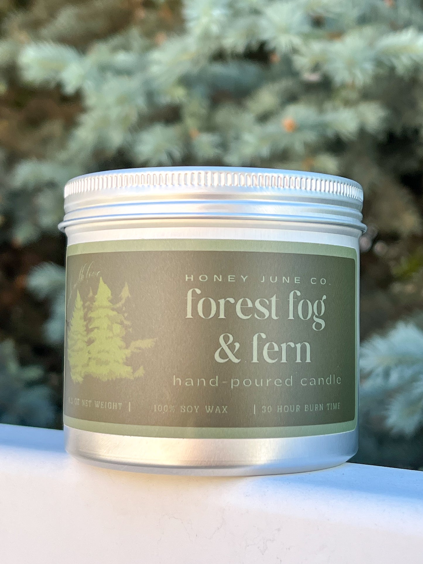 Forest Fog & Fern Candle